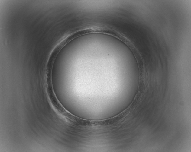 X0000068260730200604210913