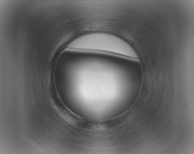 X0000068260735200604210914