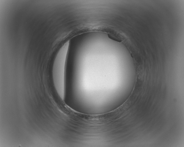 X0000068260740200604210914