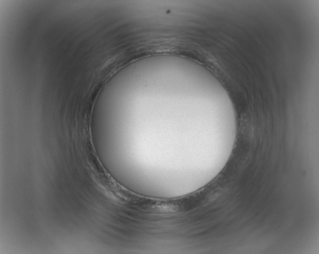 X0000068260741200604210914