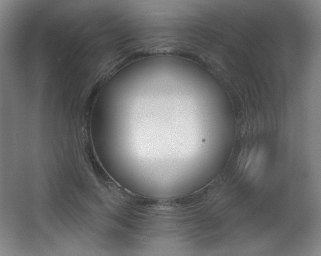 X0000068260743200604210914