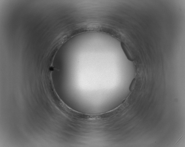 X0000068260744200604210914