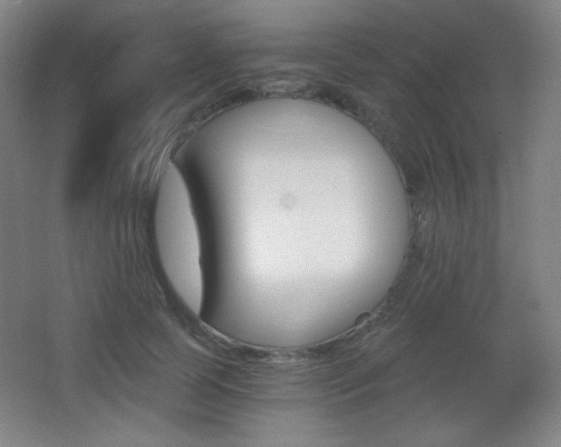 X0000068260745200604210914