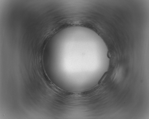 X0000068260747200604210914
