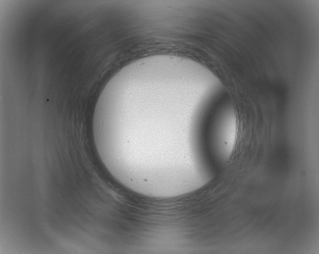X0000068260750200604210914