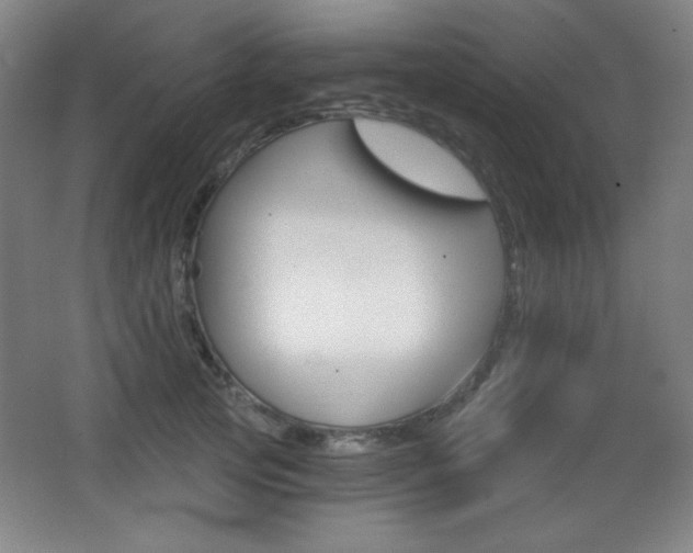 X0000068260753200604210914