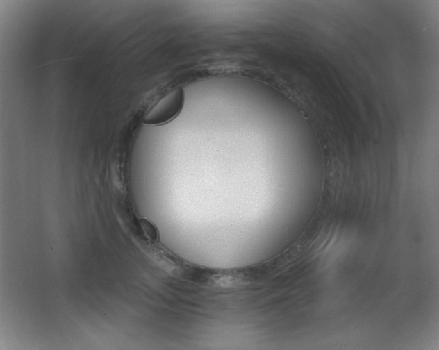 X0000068260755200604210914