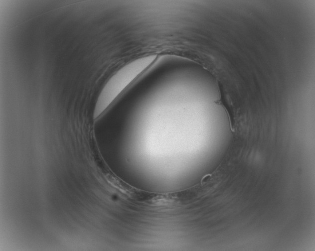 X0000068260756200604210914