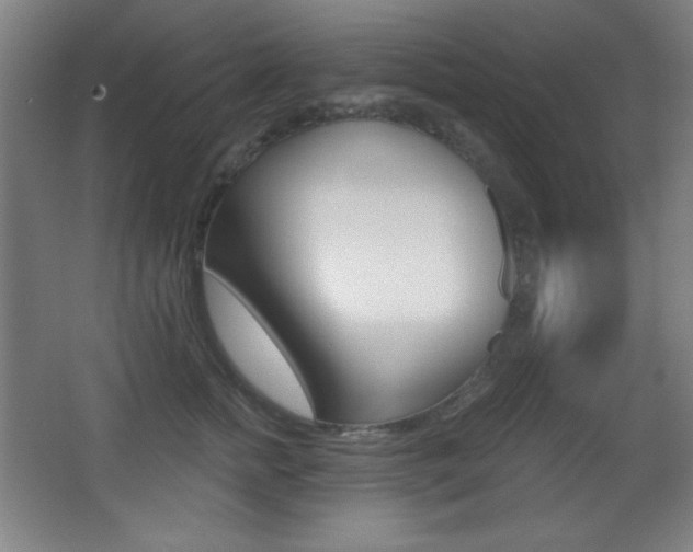 X0000068260758200604210914