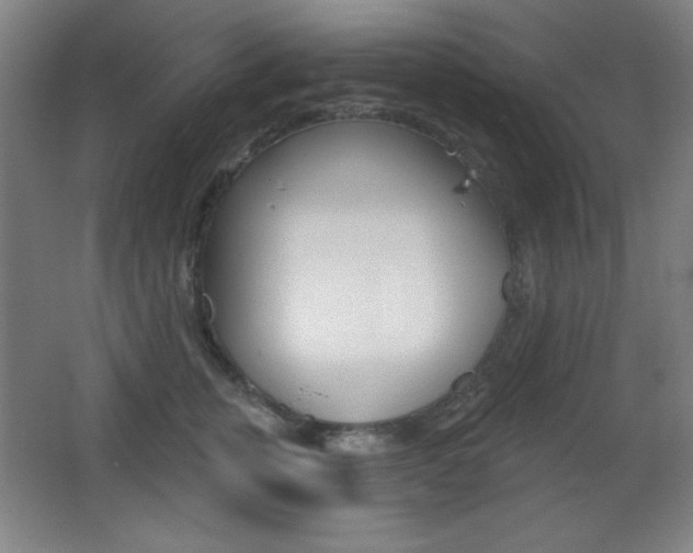 X0000068260759200604210914