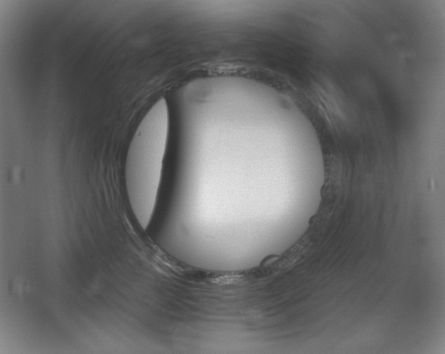 X0000068260761200604210914