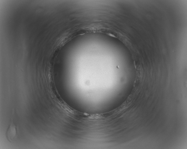 X0000068260762200604210914