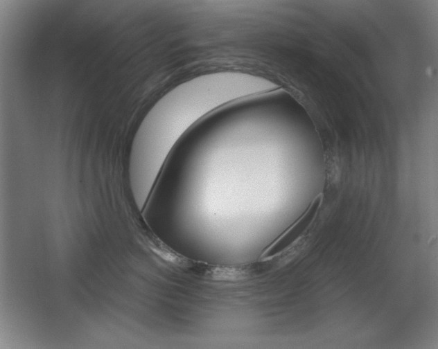 X0000068260766200604210914