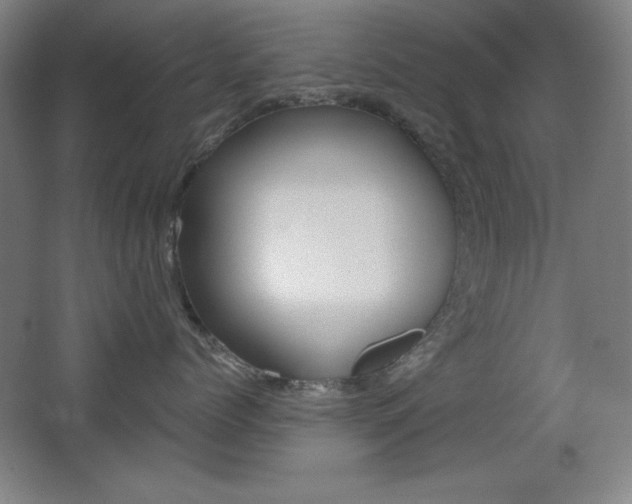 X0000068260768200604210914