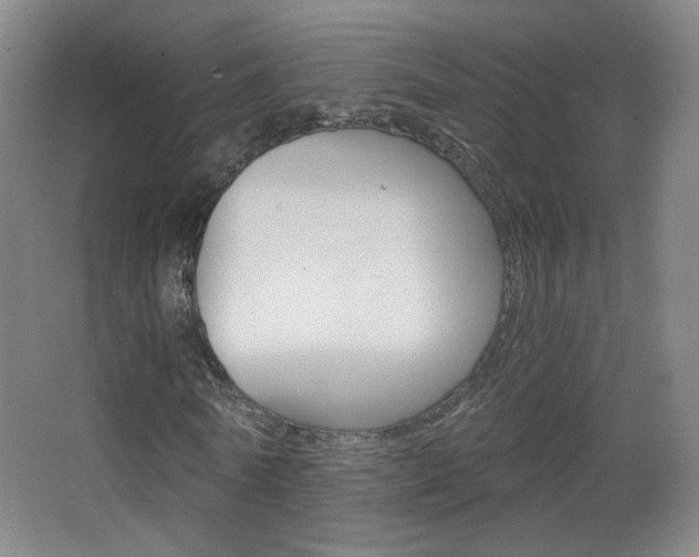 X0000068260770200604210913