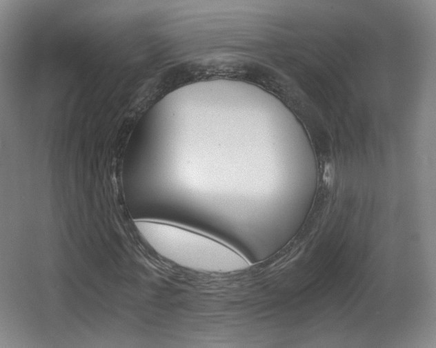 X0000068260771200604210913