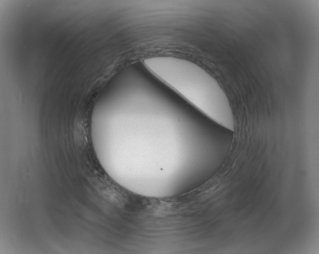 X0000068260772200604210913