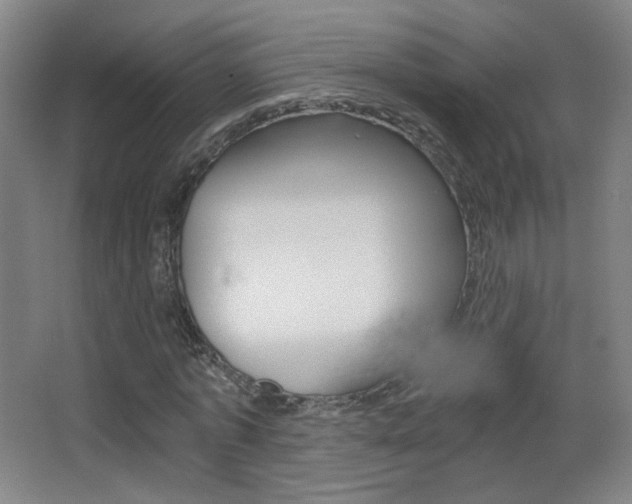 X0000068260773200604210913