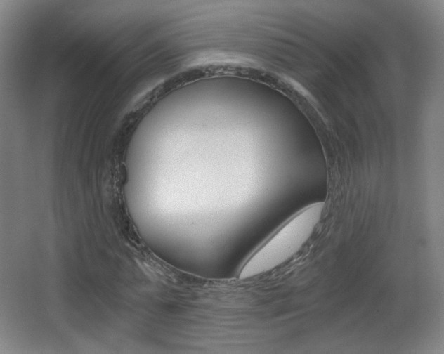 X0000068260775200604210913