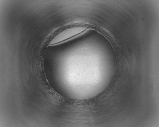 X0000068260776200604210913