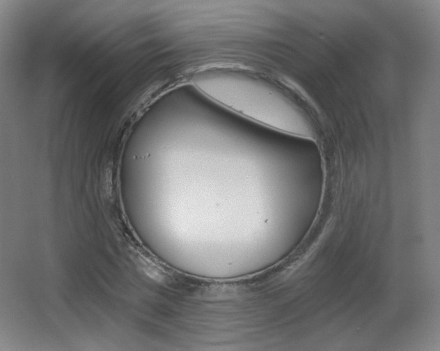 X0000068260777200604210913
