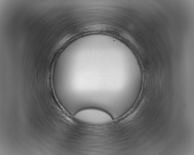 X0000068260778200604210913