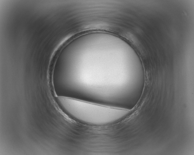 X0000068260780200604210913