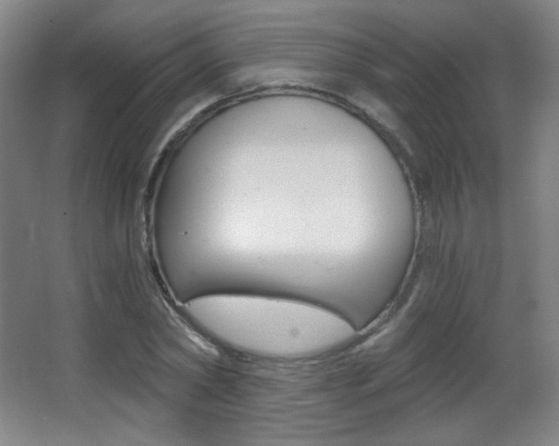 X0000068260782200604210913
