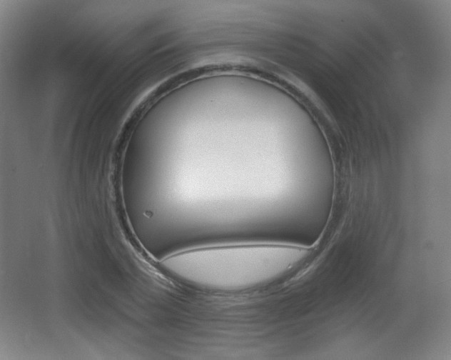 X0000068260783200604210913