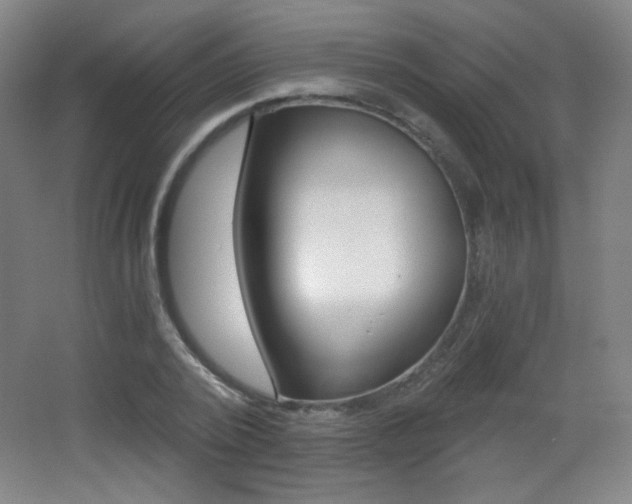X0000068260784200604210913