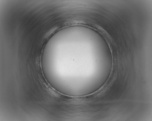 X0000068260785200604210913