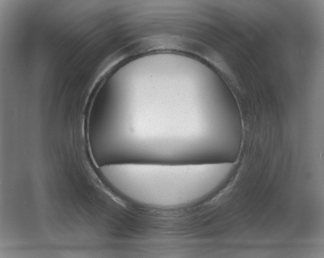 X0000068260790200604210913