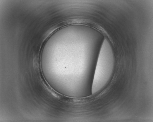 X0000068260794200604210913