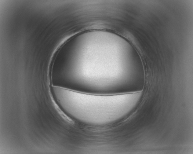 X0000068260795200604210913