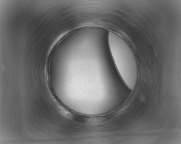 X0000068260796200604210913