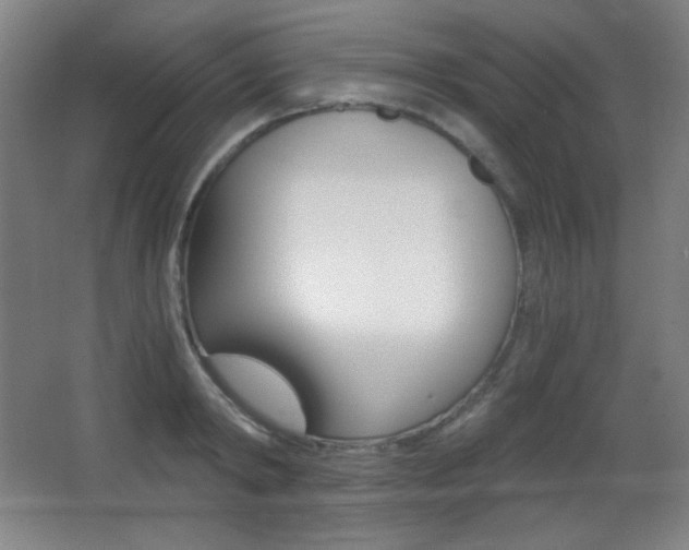 X0000068260798200604210913