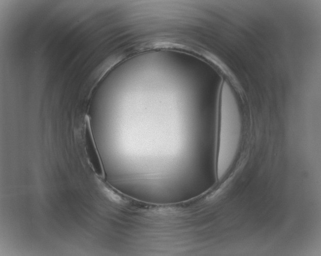 X0000068260801200604210913