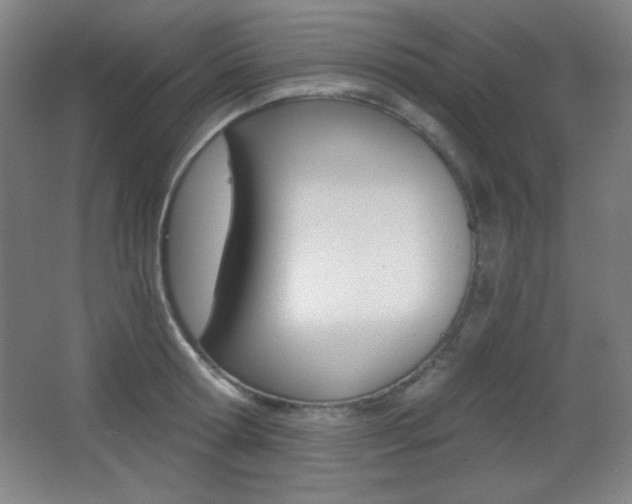 X0000068260802200604210913