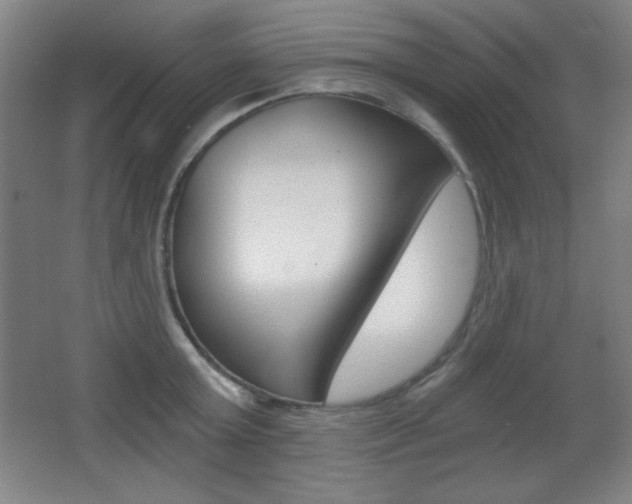 X0000068260803200604210913