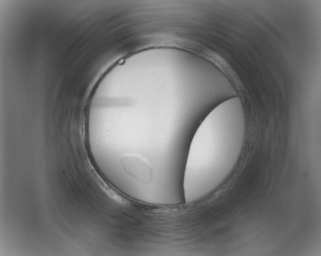 X0000068260804200604210913