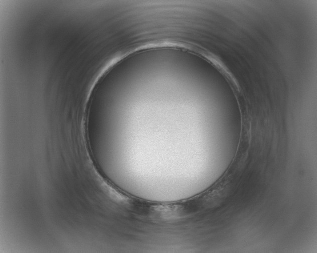 X0000068260805200604210913