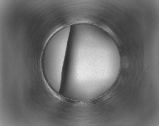X0000068260806200604210913