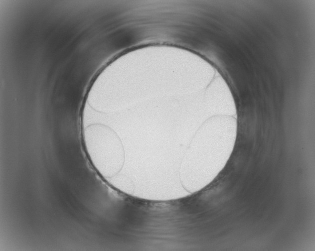X0000068260807200604210913