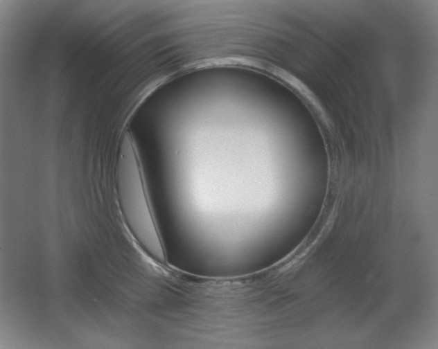 X0000068260809200604210913