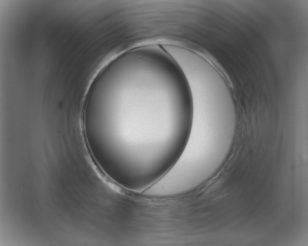 X0000068260813200604210913