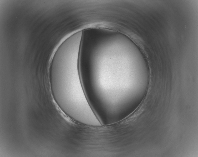 X0000068260816200604210913