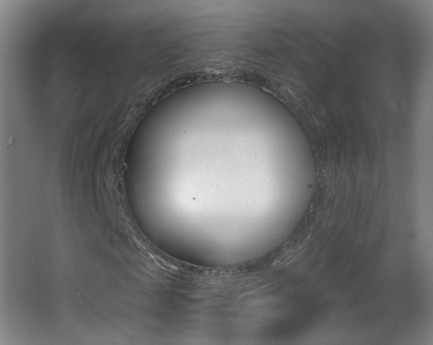 X0000068260817200604210912
