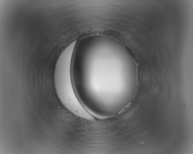 X0000068260818200604210912