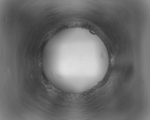 X0000068260819200604210912
