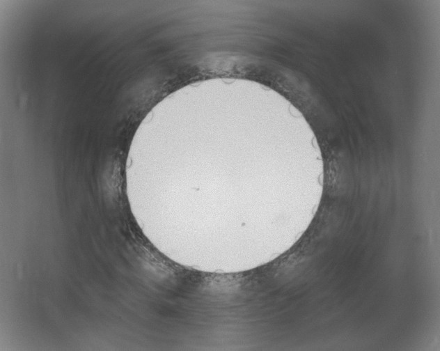 X0000068260820200604210912